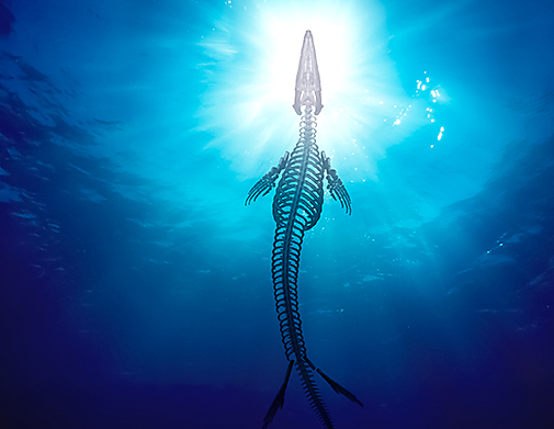 Ontmoet Bèr - Mosasaurus Experience